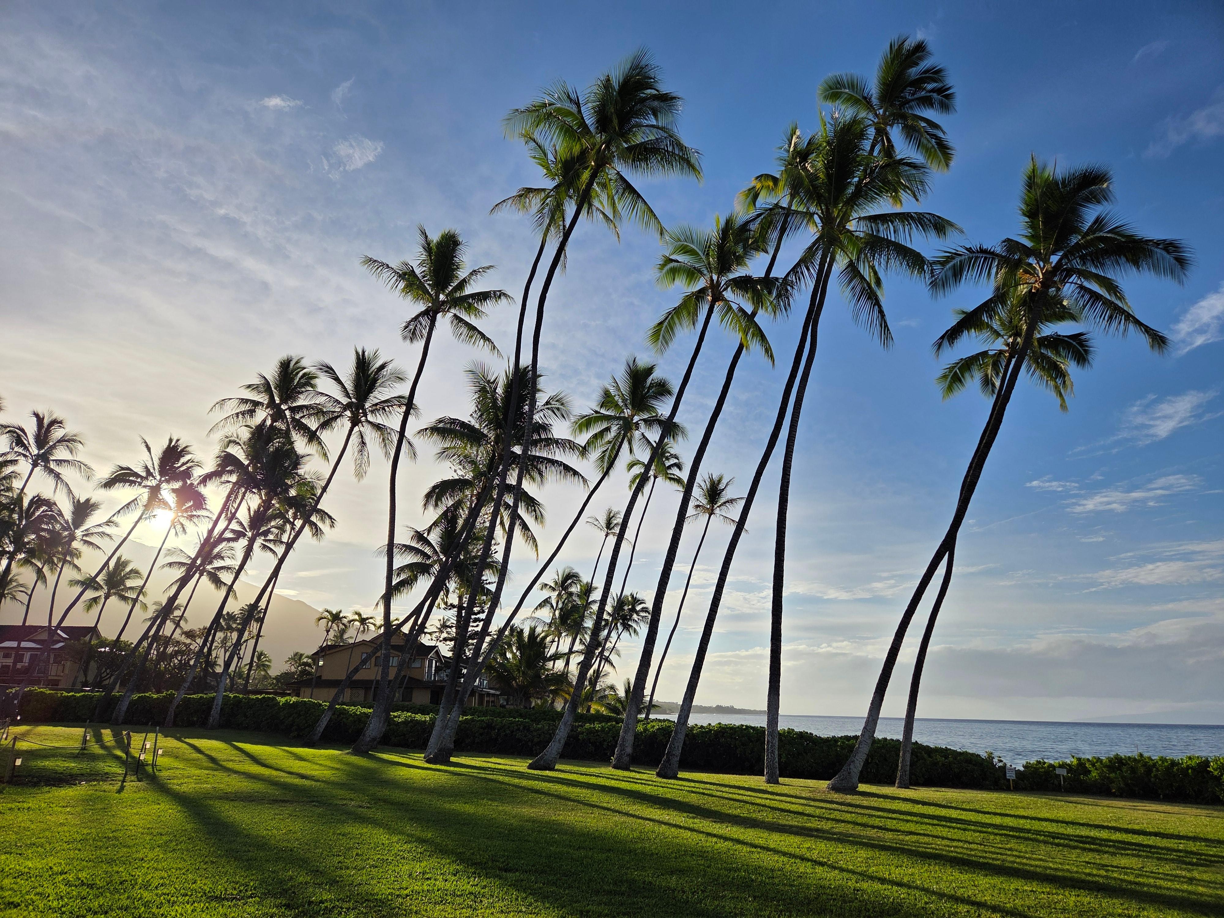 View from community close to the quiet pool