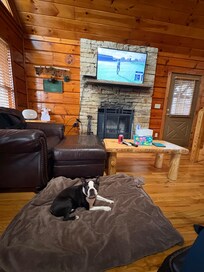 We brought a blanket for our dog along with his dog bed, and he was right at home:)