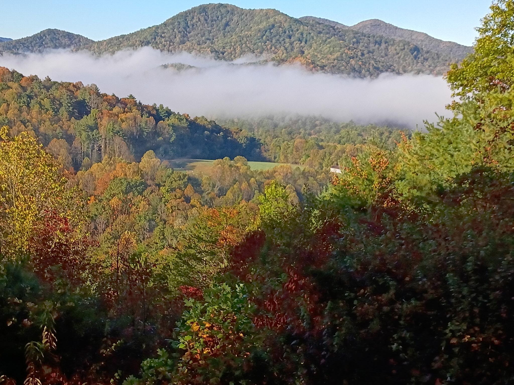 Early morning view from back porch 