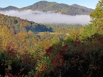 Early morning view from back porch