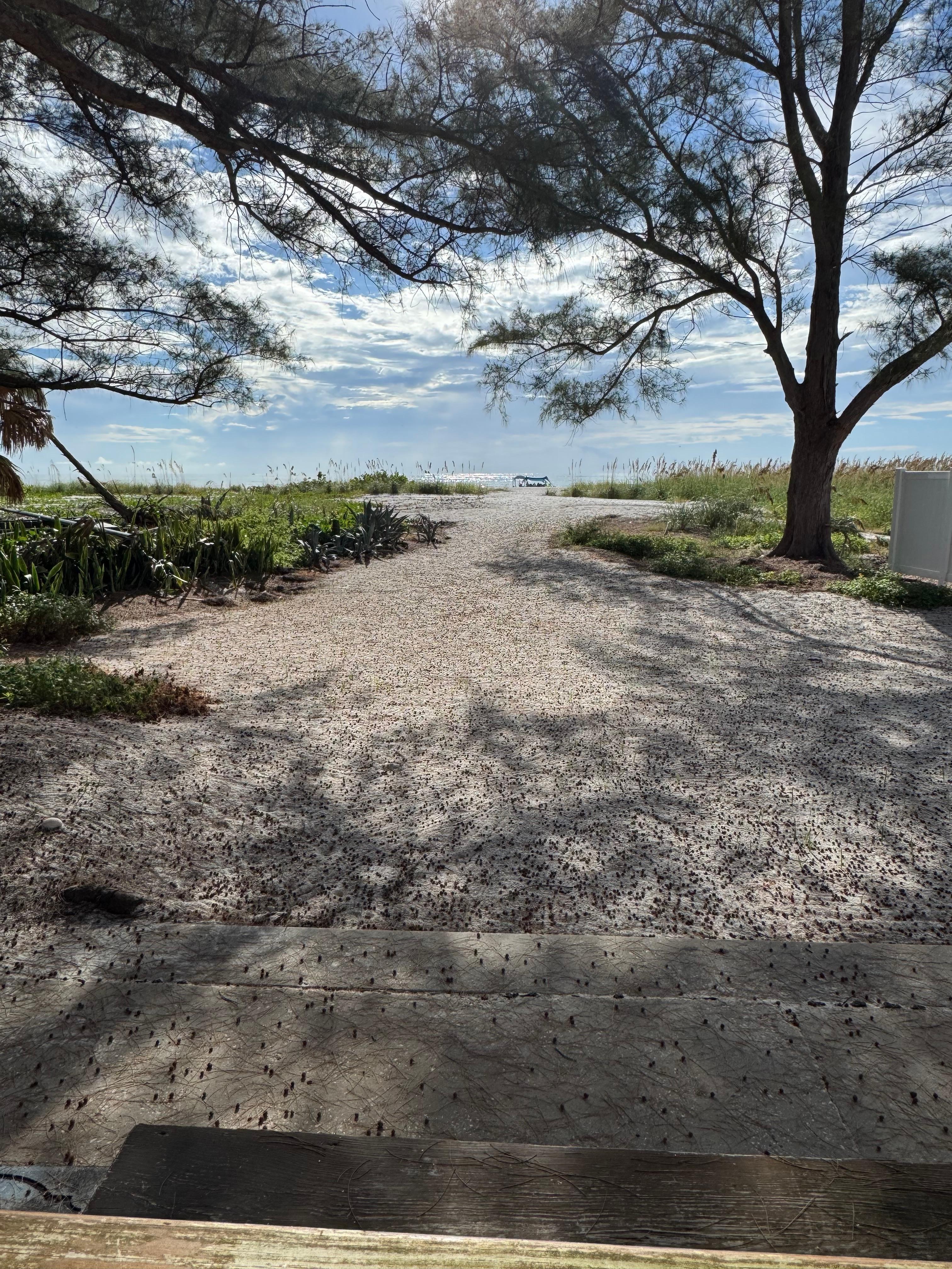 Great view from the deck.