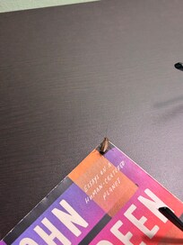 Cockroach that was on the night stand