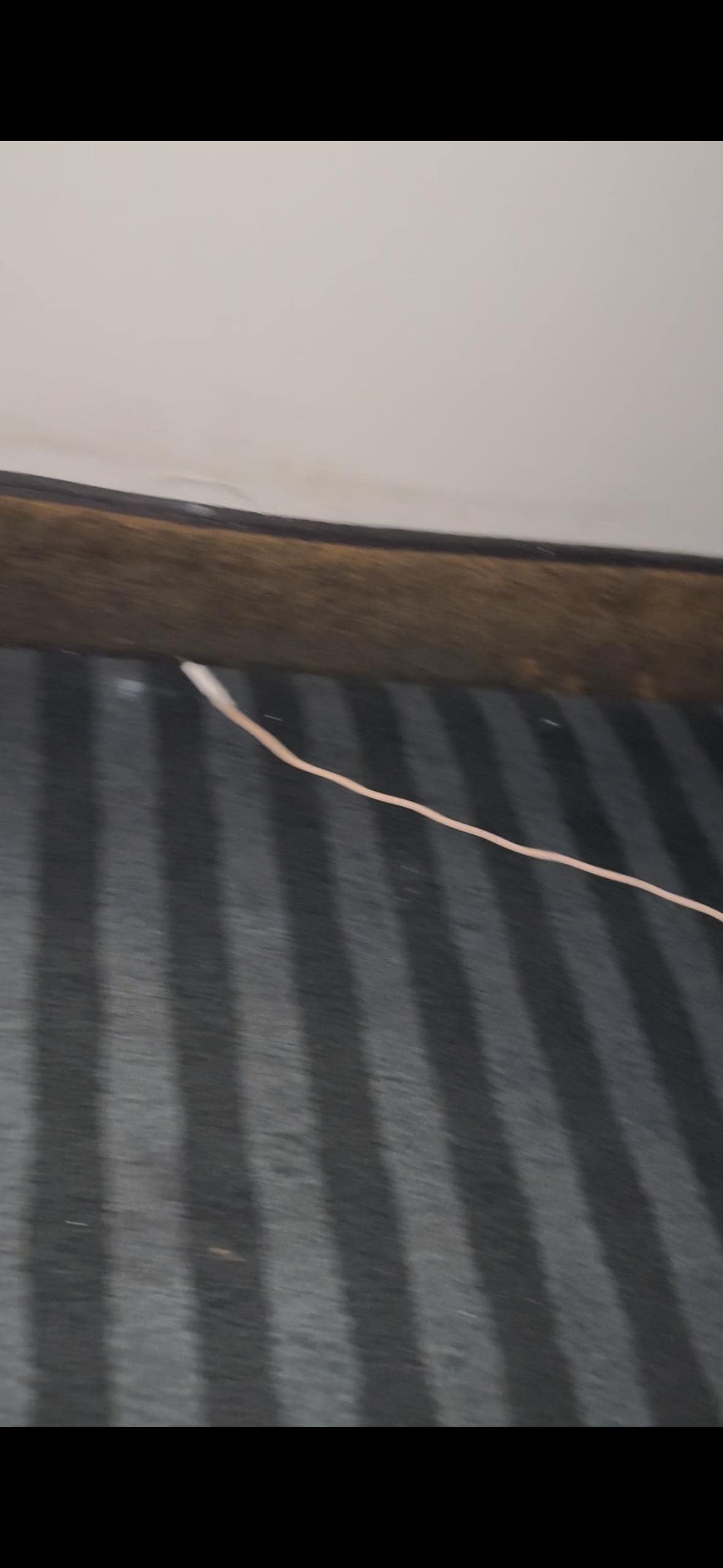 Dirty carpet trim, questionable mold or source of odor?