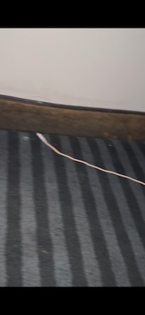 Dirty carpet trim, questionable mold or source of odor?