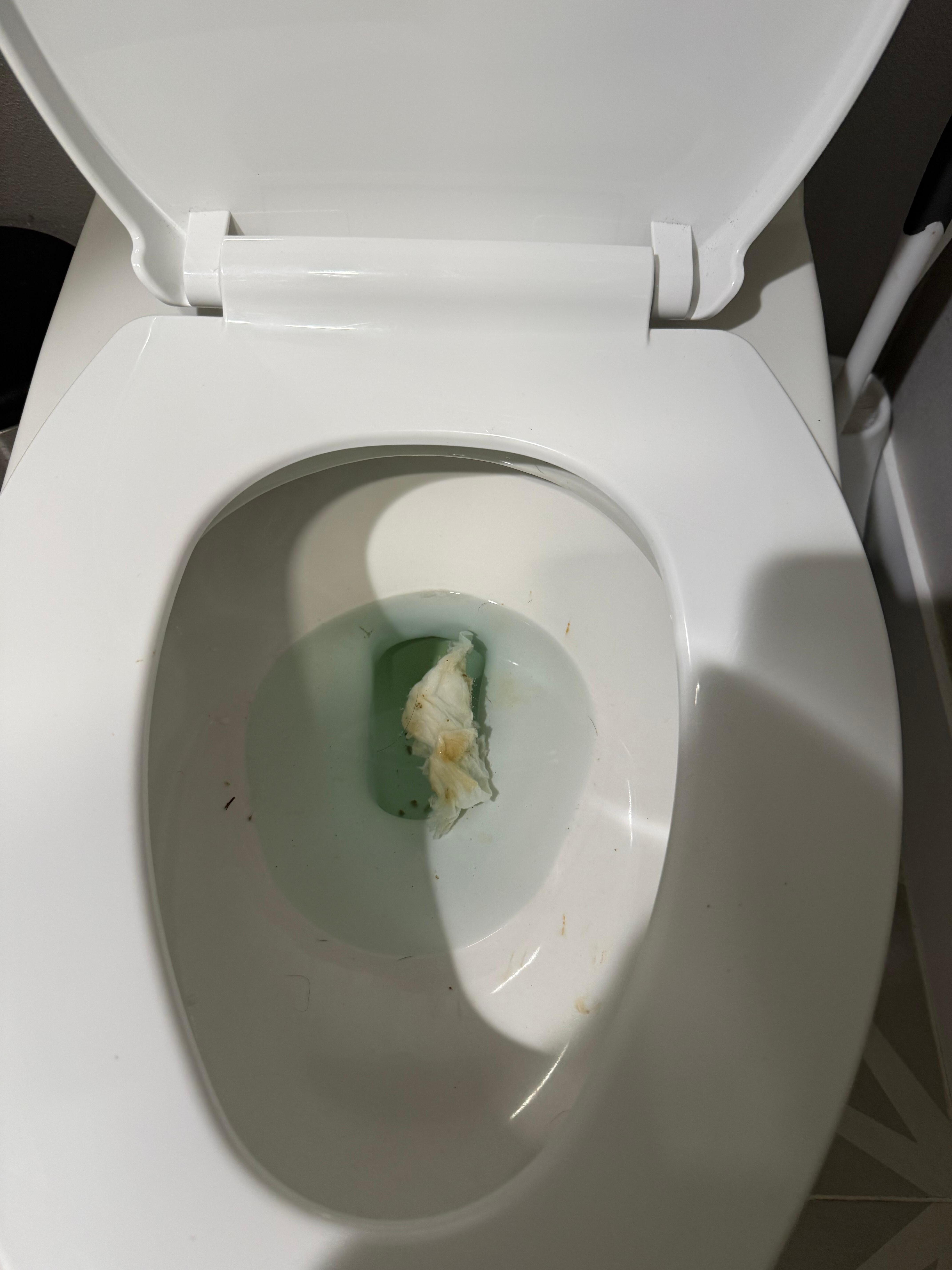 Poop in the toilet