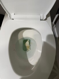 Poop in the toilet