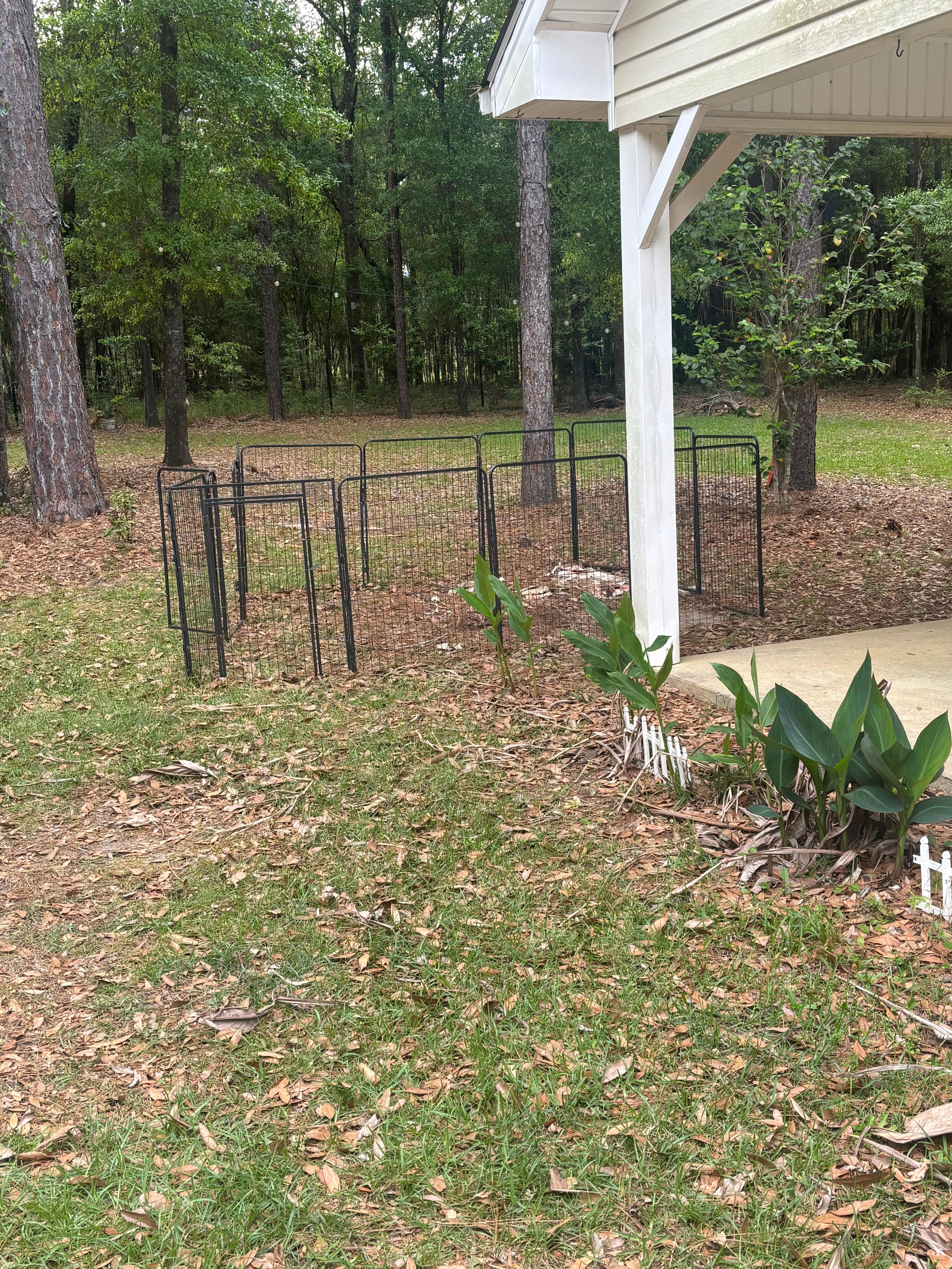 Pet enclosure. The only secure outdoor spot to leave pets in a “pet friendly” place. 