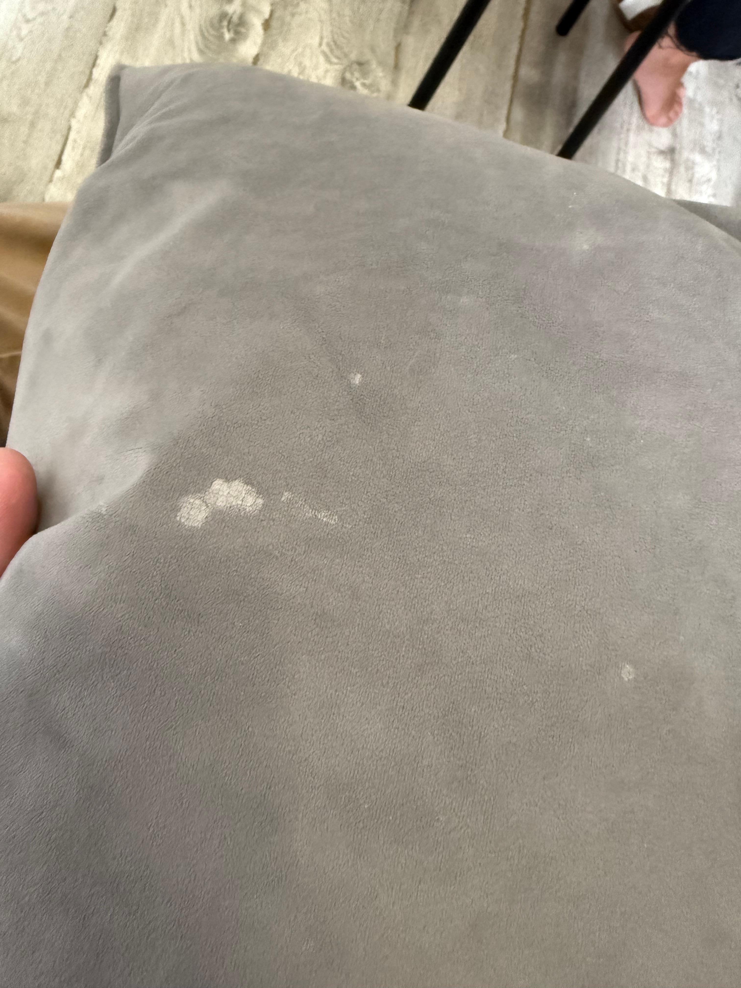 Hair and slobber on the pillows 