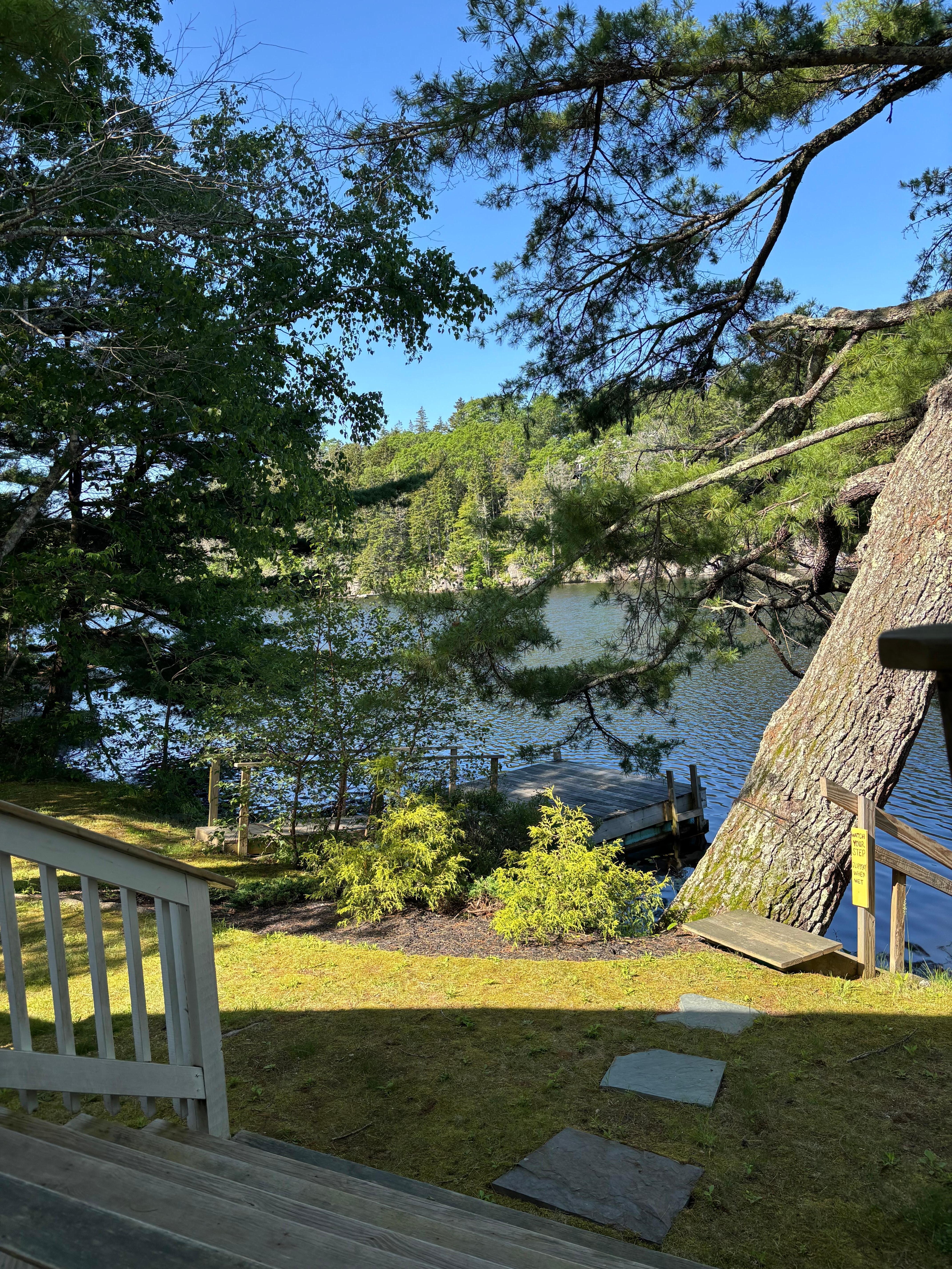 Morning view