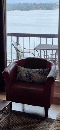 Scratched up red leather chair