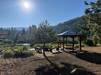 Early morning view from the back yard