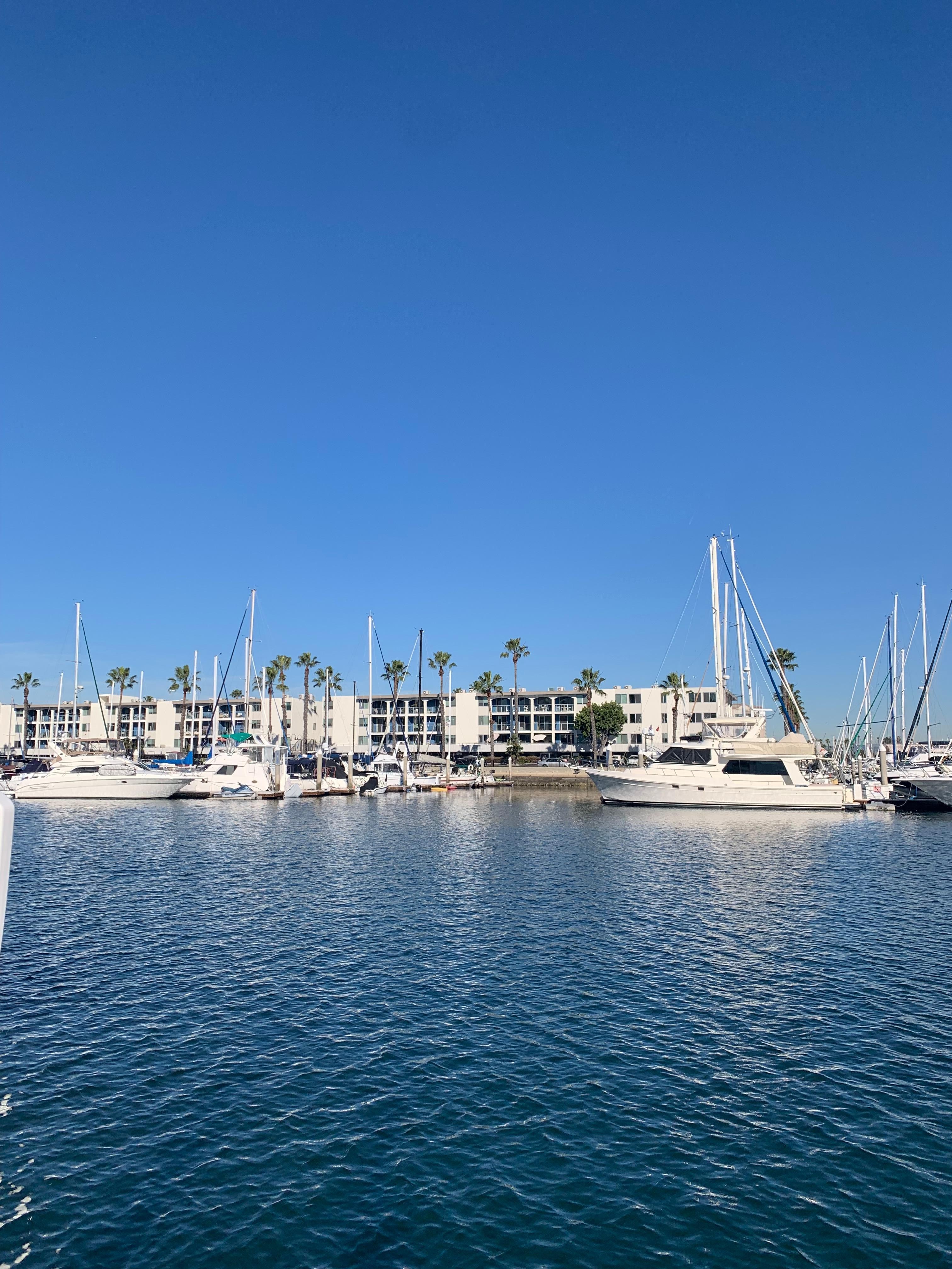 Photos of the Marina area outside the condo 