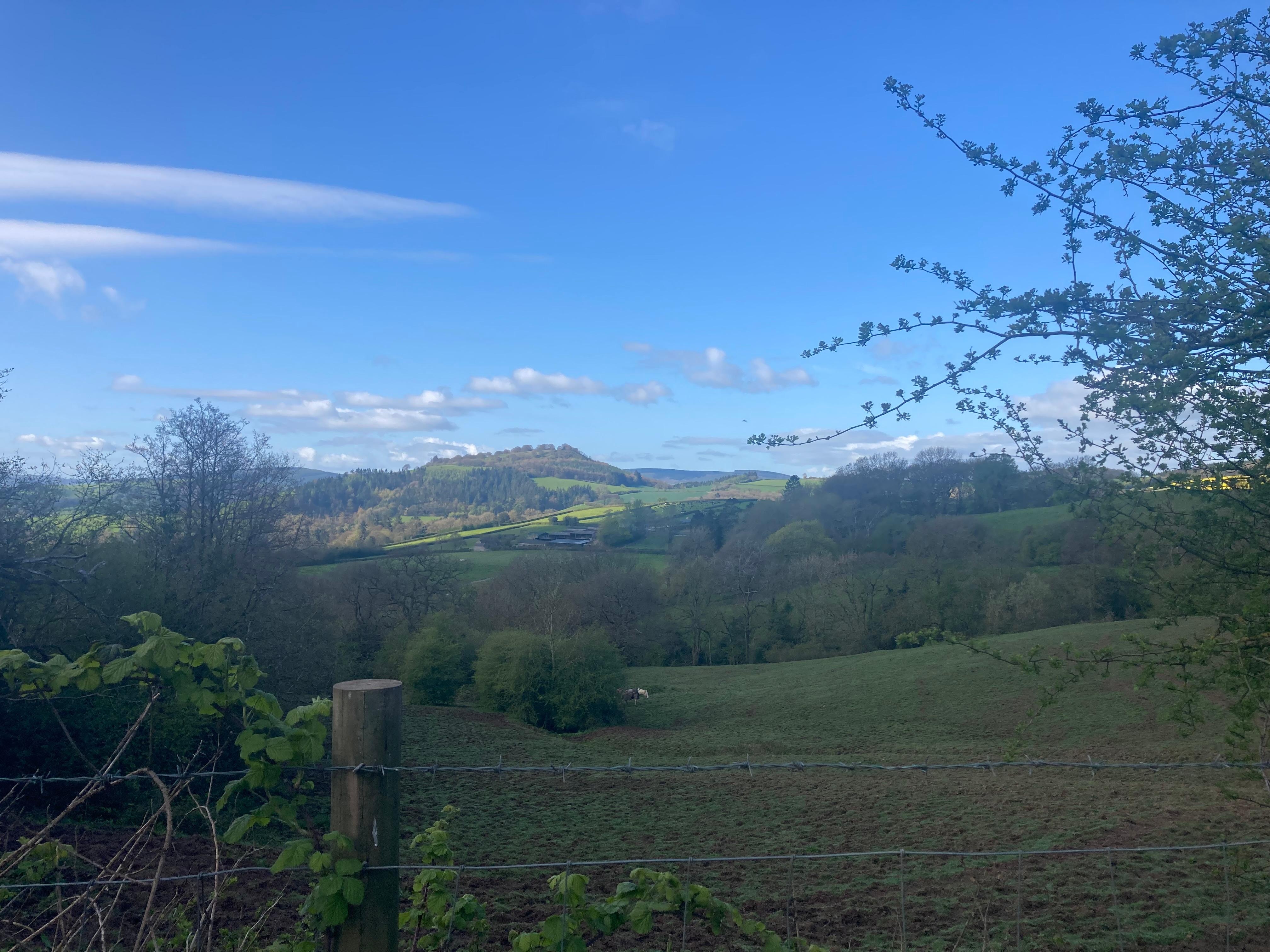 View from front of cottage