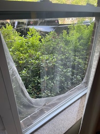 Screen on window torn to nothing