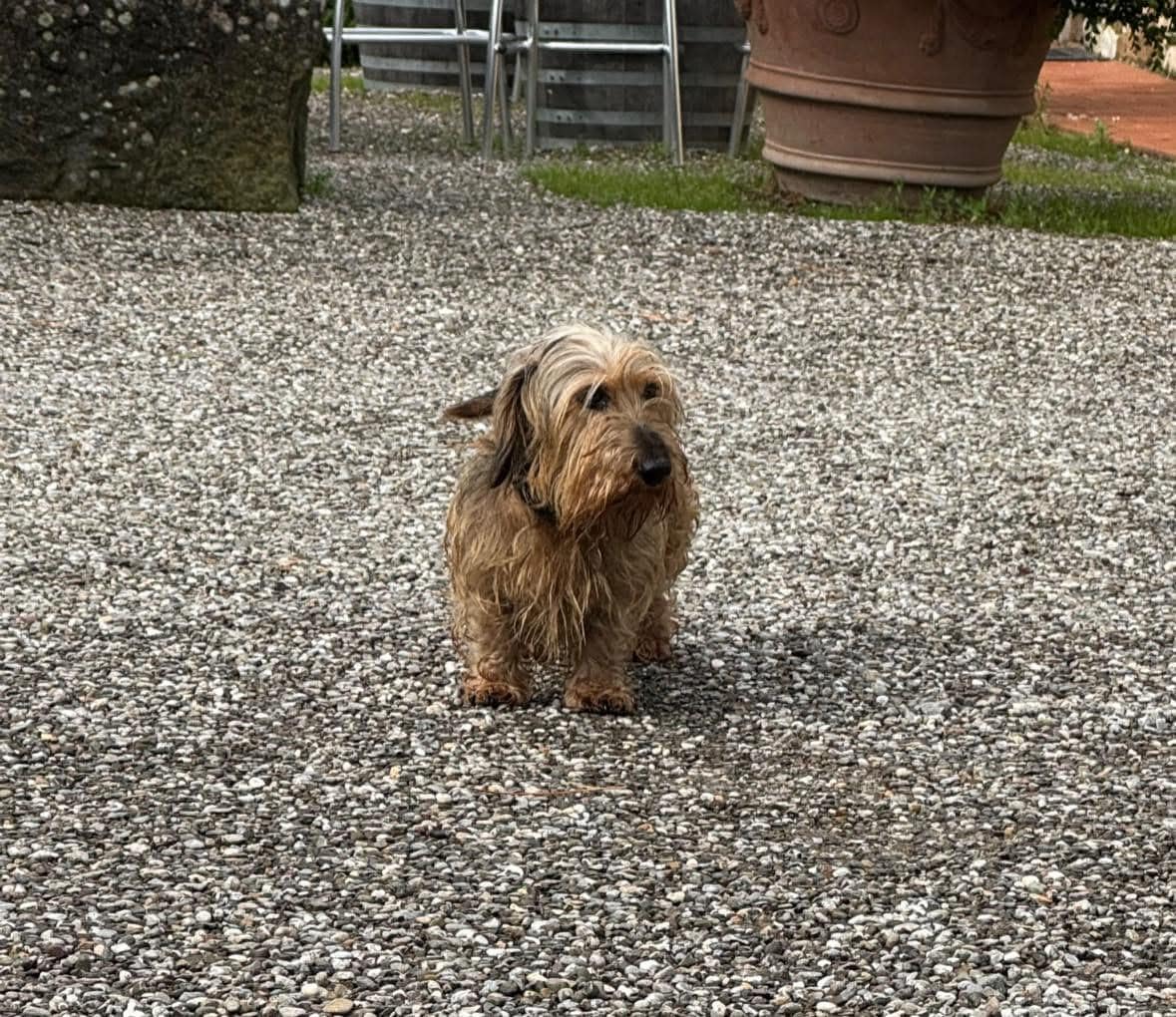 Sweetest host ever, Fosco!
