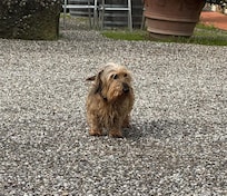 Sweetest host ever, Fosco!