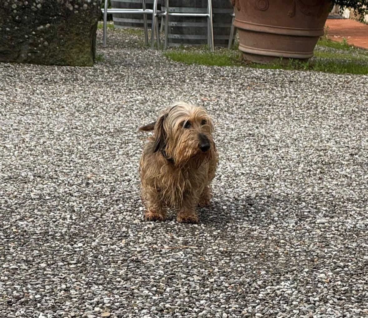 Sweetest host ever,   Fosco!