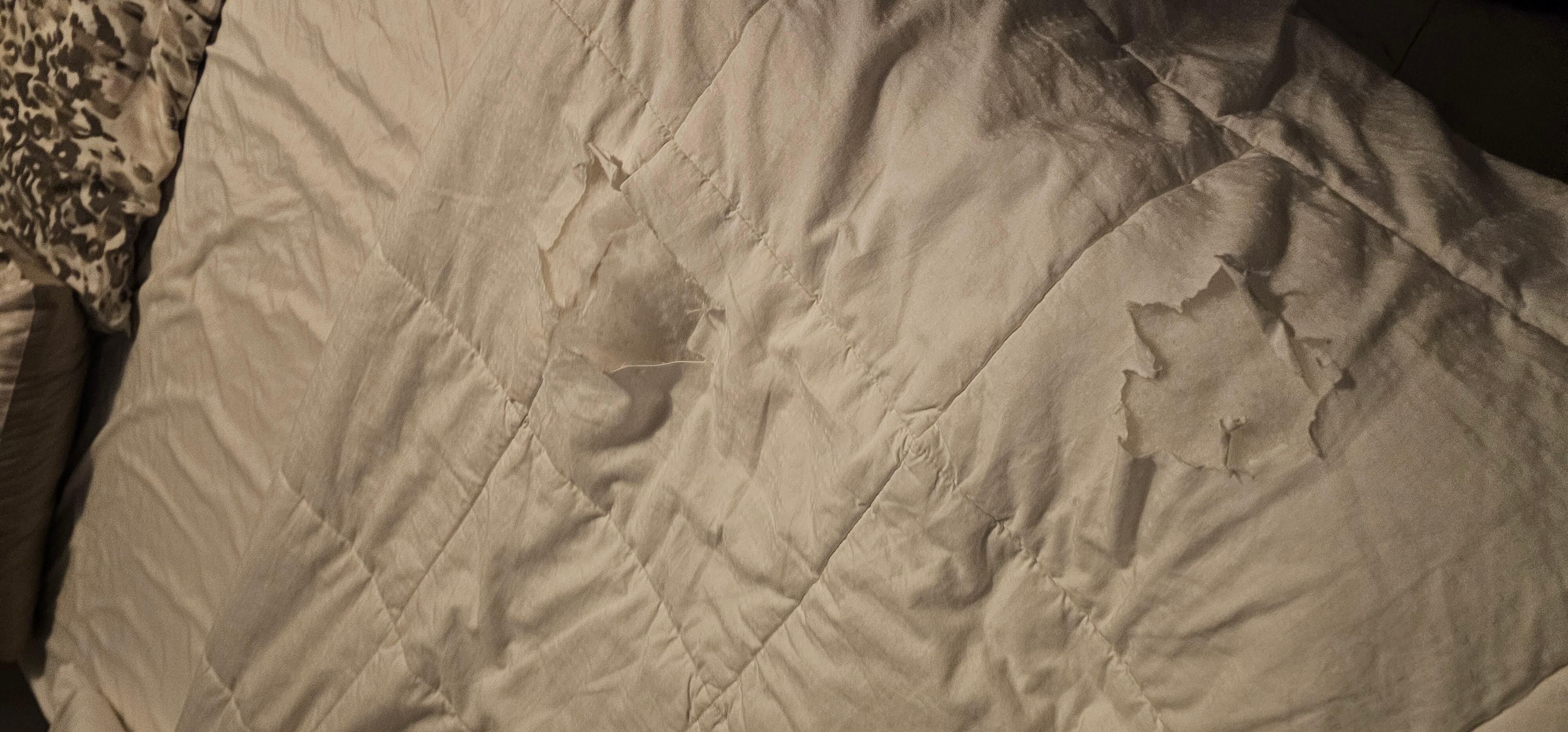 Ripped comforter on arrival, no I'm not kidding...