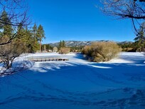 View out the back of the property