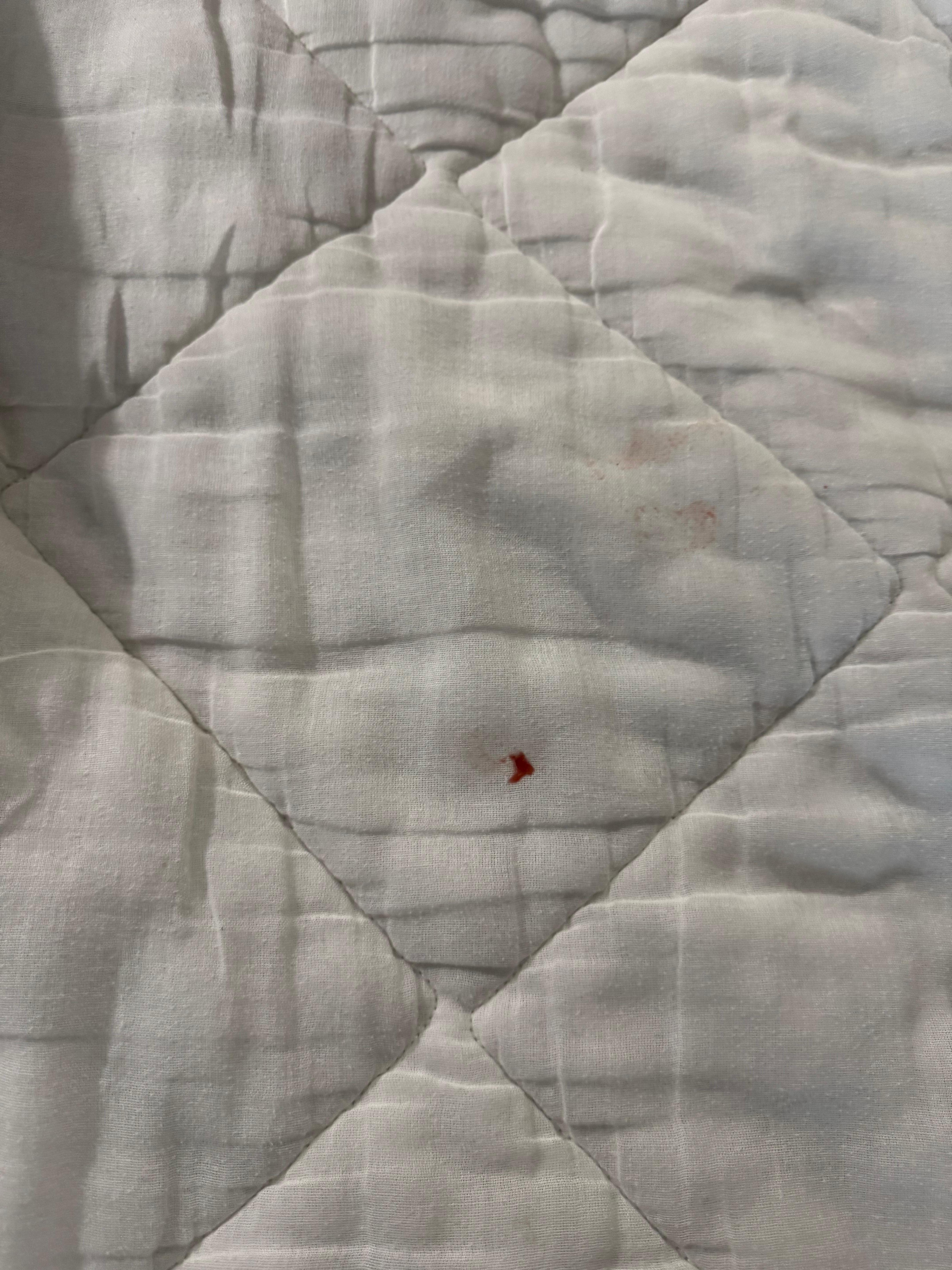 Blood on bed cover