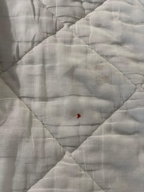 Blood on bed cover