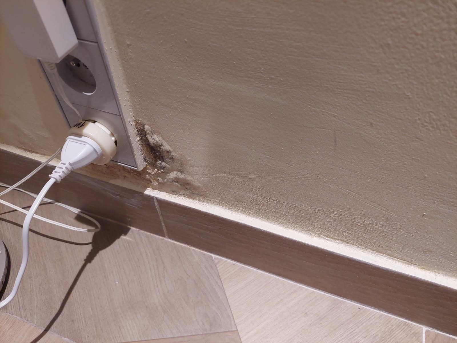 Mould bubbling out of powerpoint