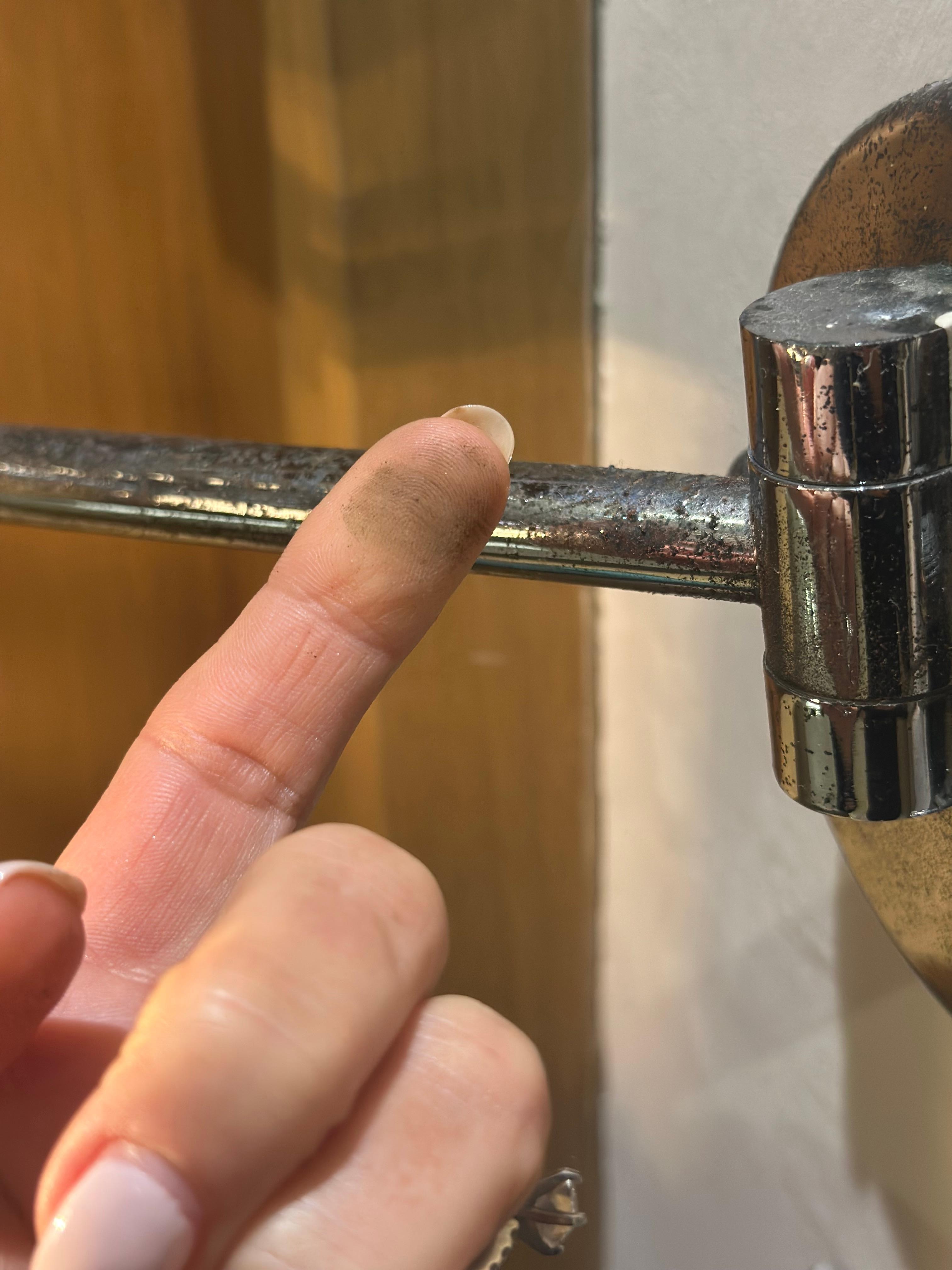 Mold on the bathroom light