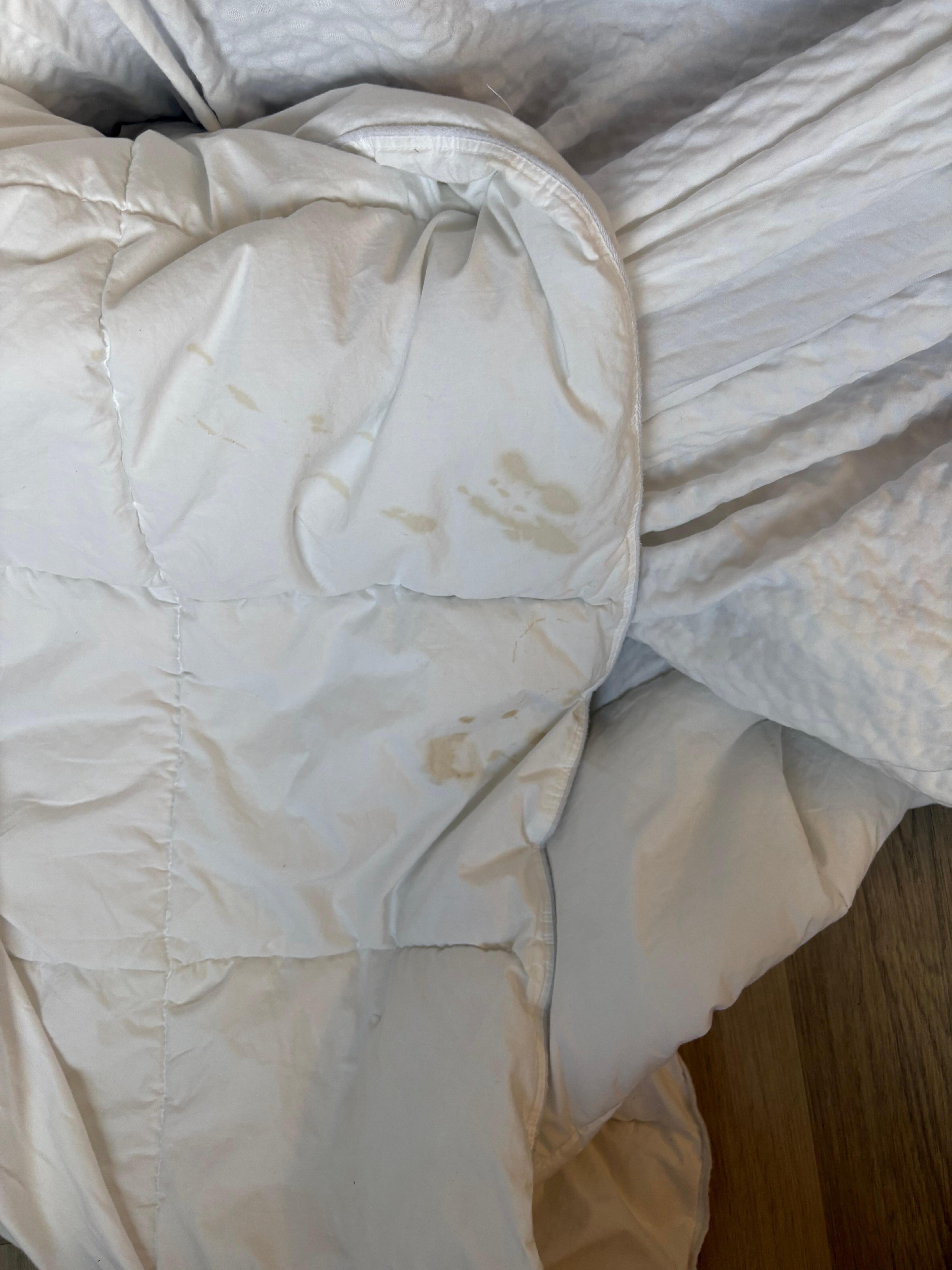 Stains on comforter 