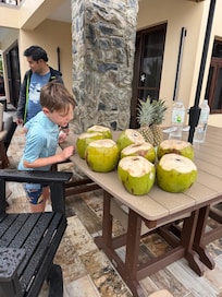 The yard maintenance man helped harvest coconuts on the property,
