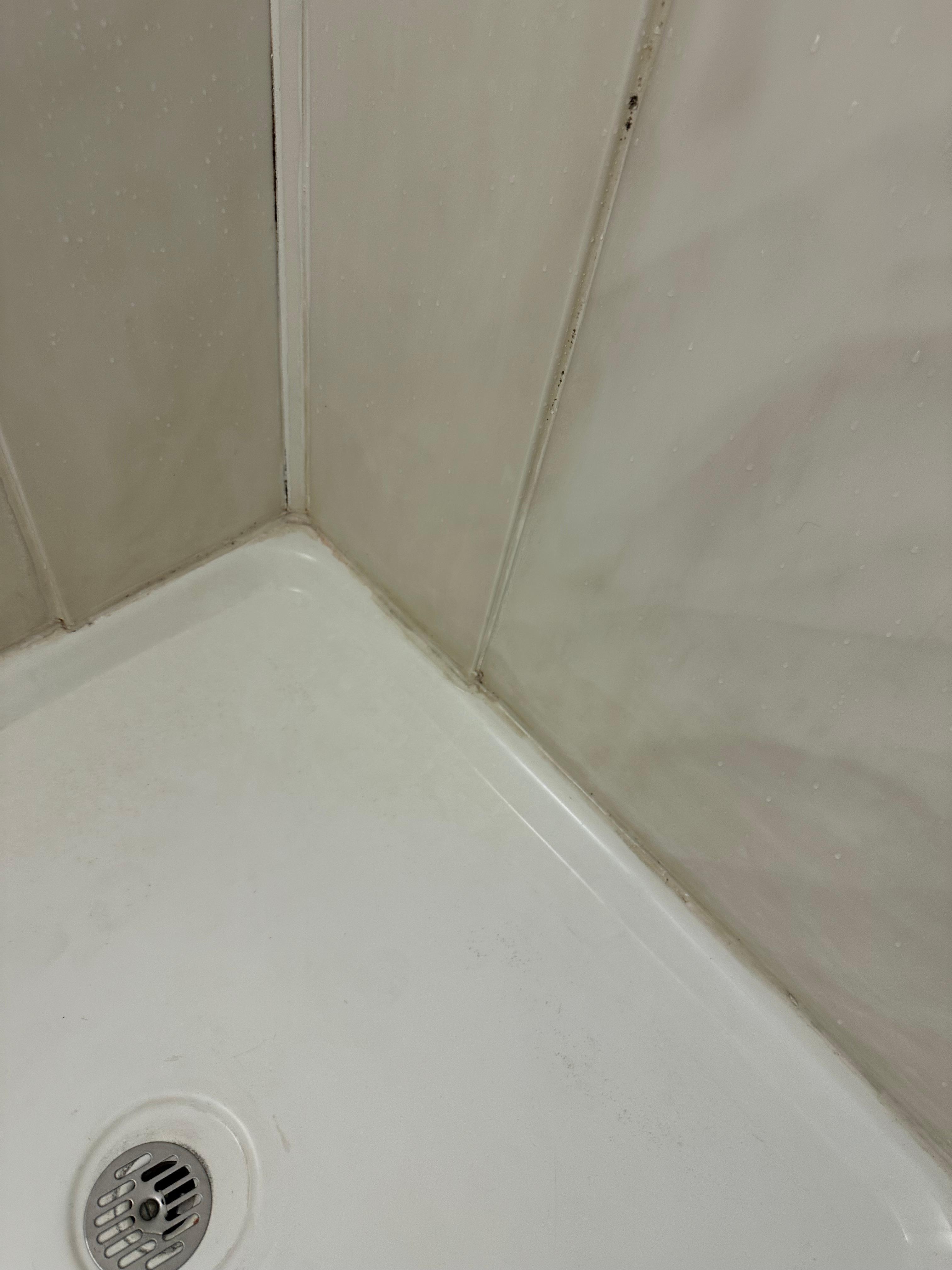 Mold in shower
