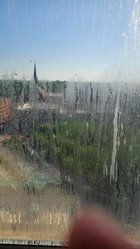 View from view room