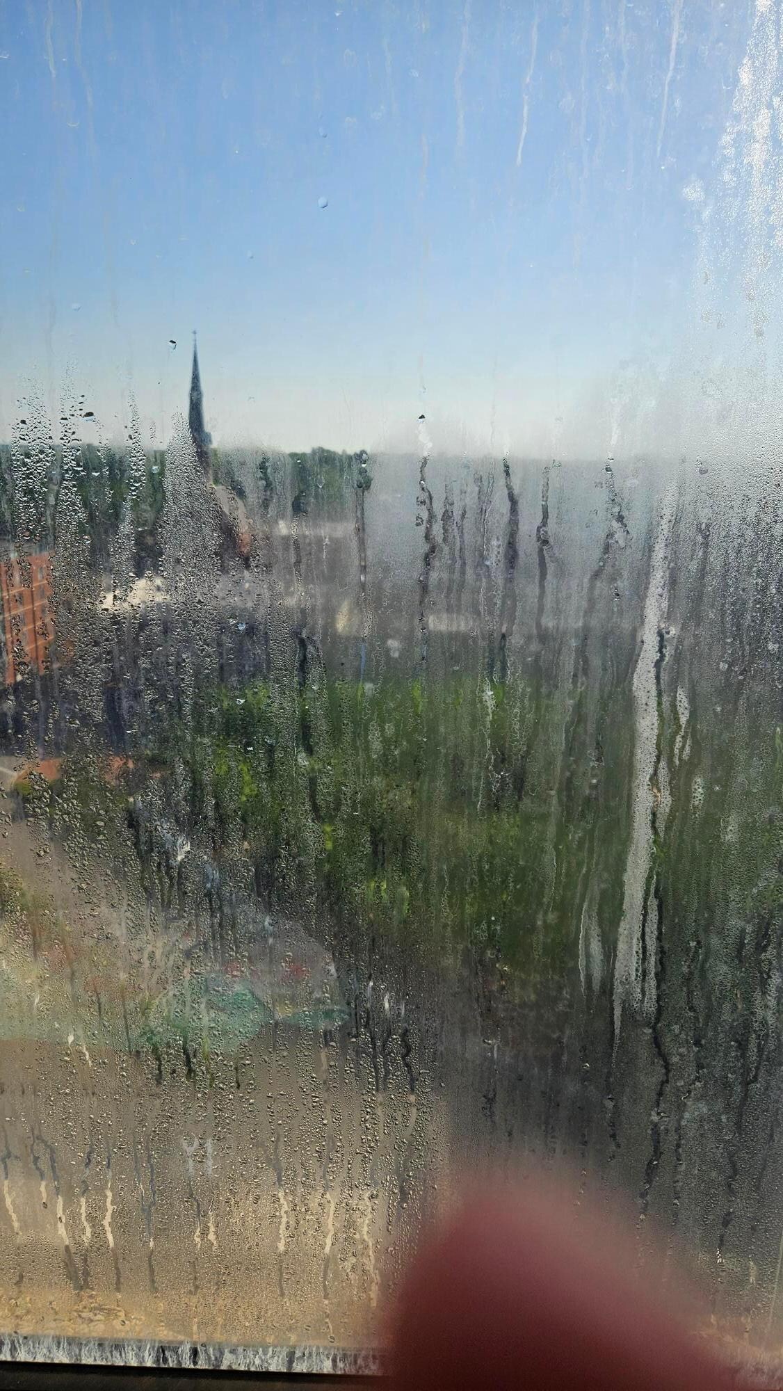 View from view room