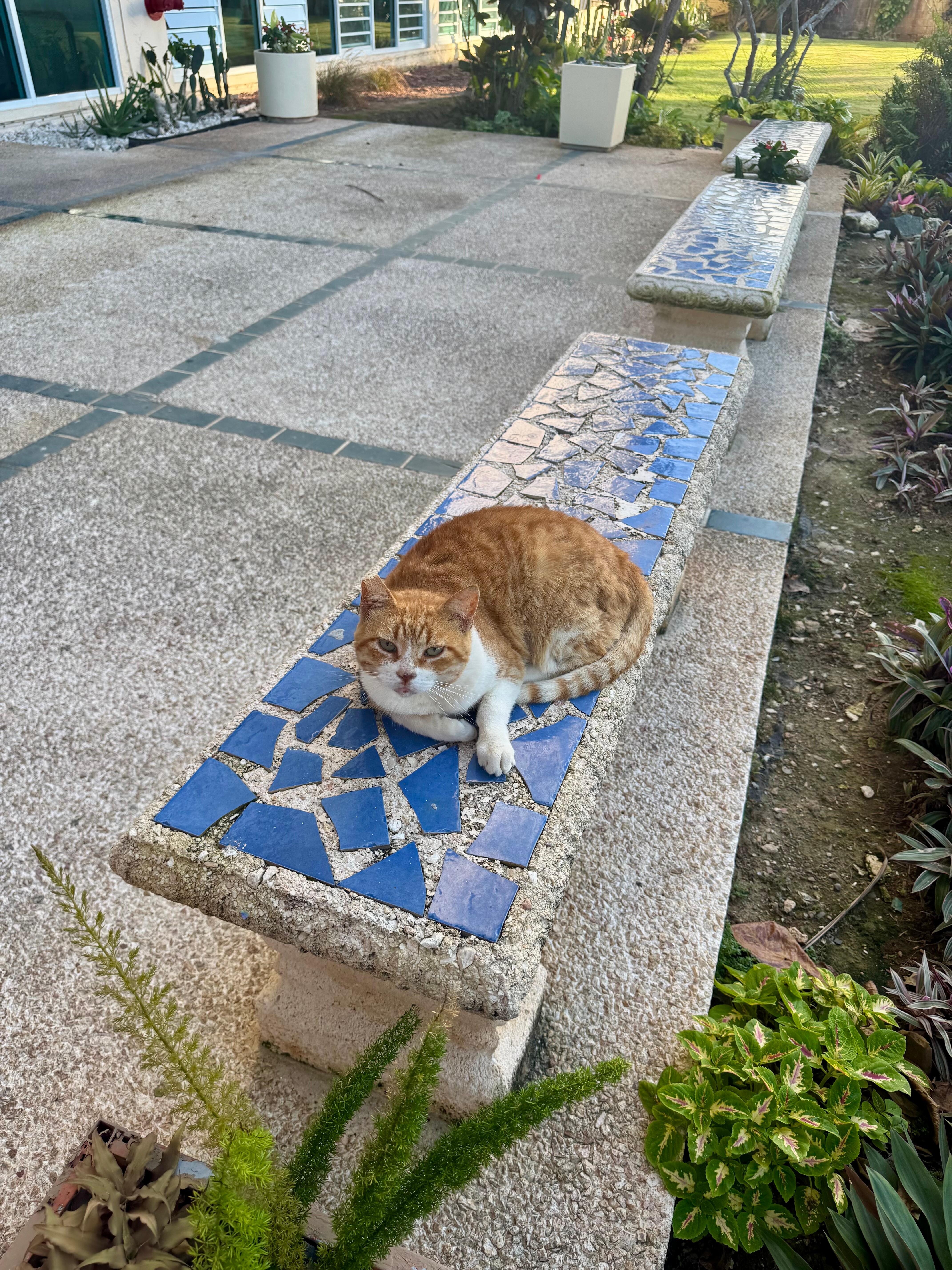 We befriended Tiny the cat, who roams around the grounds of the complex. She was such a cutie and one of our favorite parts of the stay!