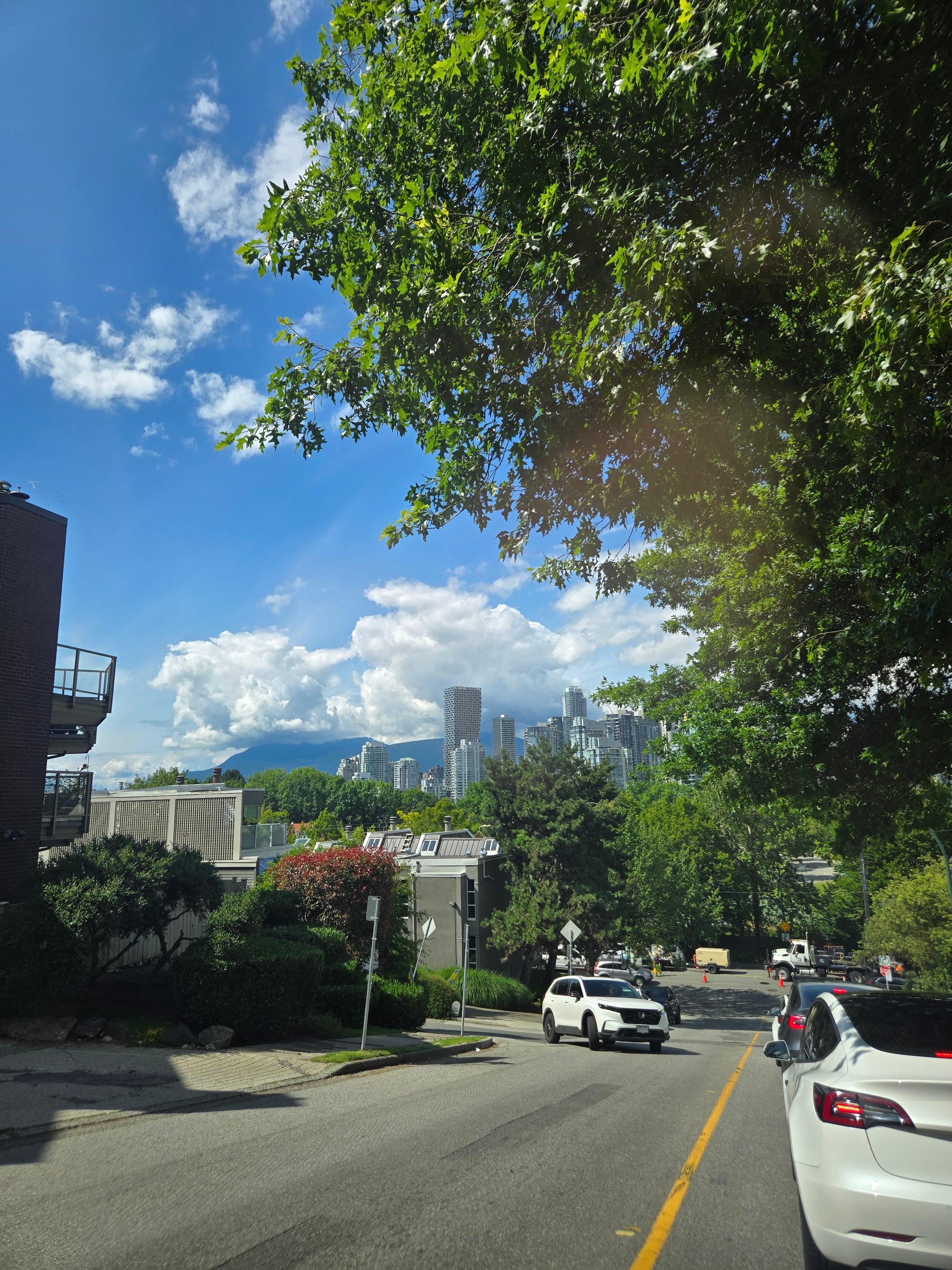 Another angle of the street in the neighborhood 
