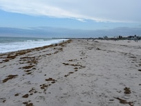 South Beach. Great for morning walks.