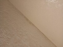 Mold around the wall in the restroom.