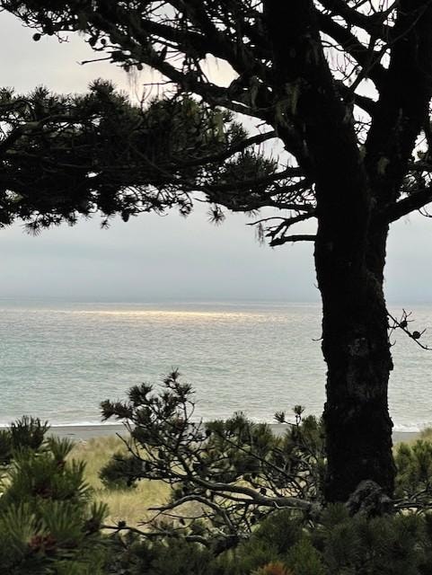 View from the back deck