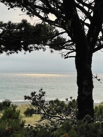 View from the back deck