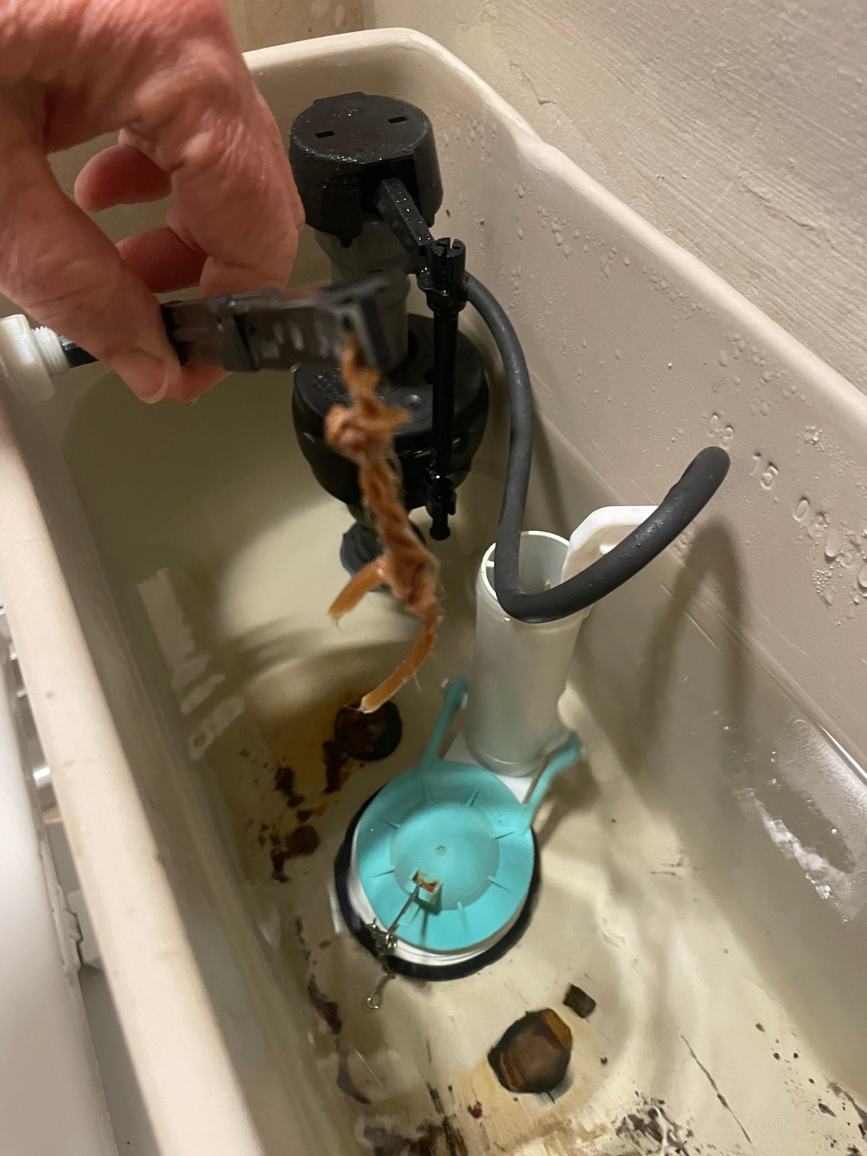 Broken toilet w/string instead of a chain.