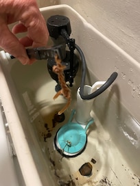 Broken toilet w/string instead of a chain.