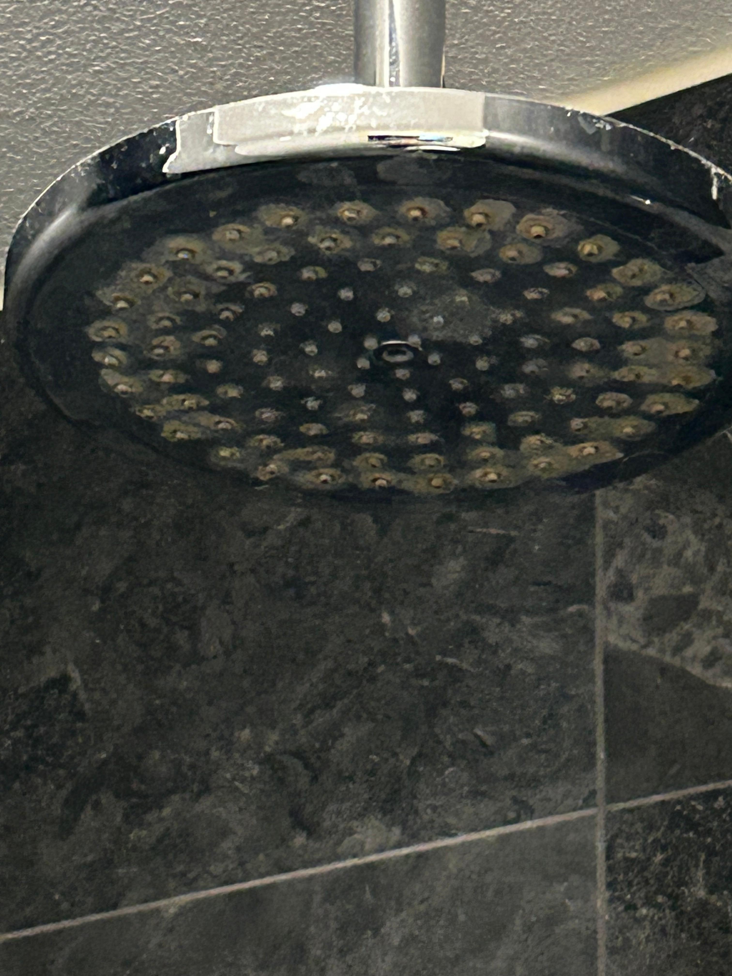 Duschkopf sehr dreckig.