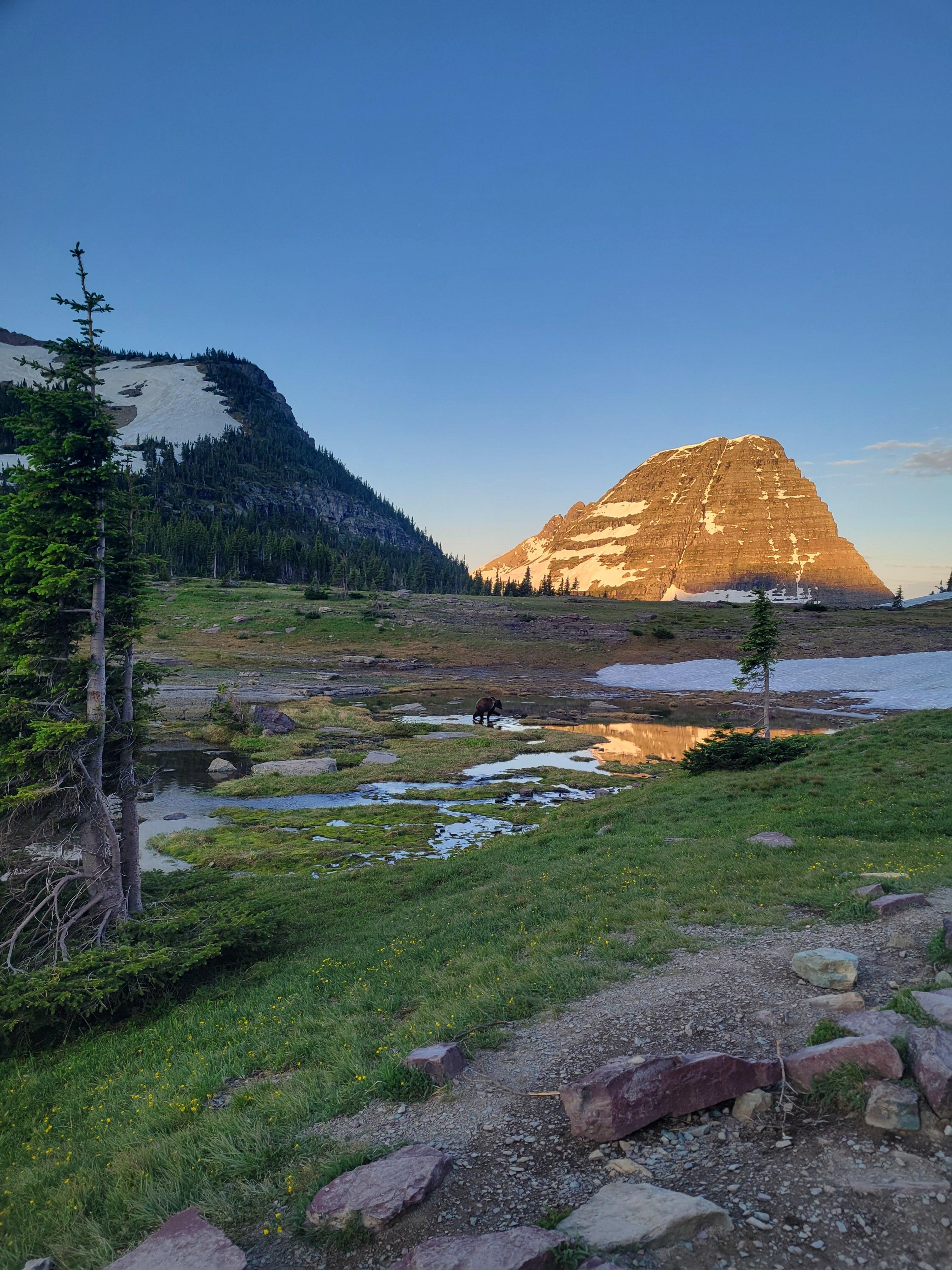 Dawn hike at Glacier