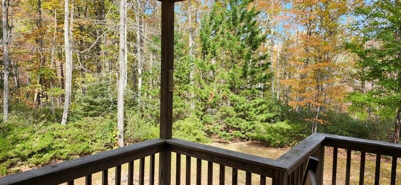 The rest of the views are like this. Trees!