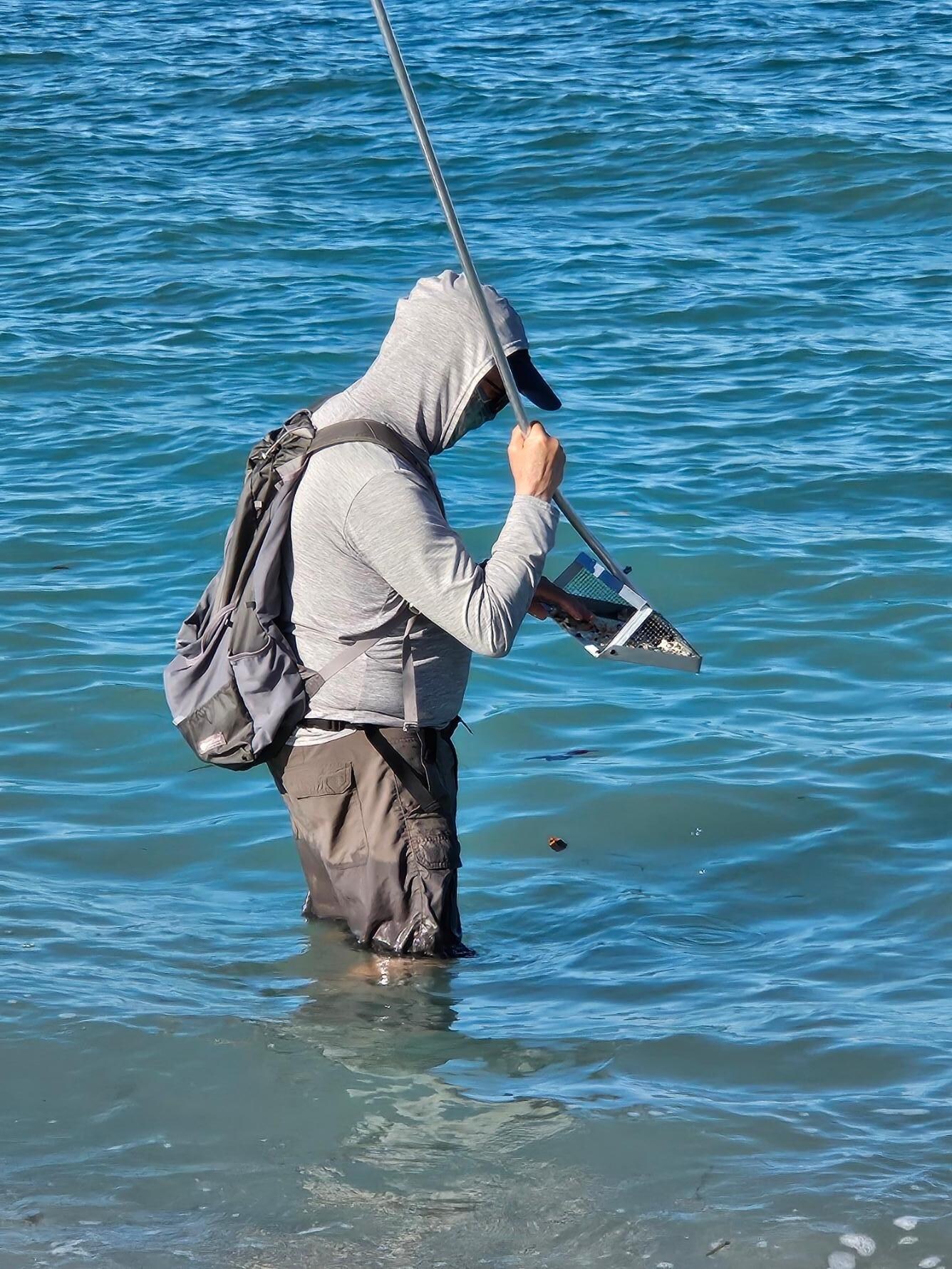 Looking for shark's teeth on Venice Beach