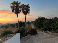 Road leading to the house, photo taken from the house.