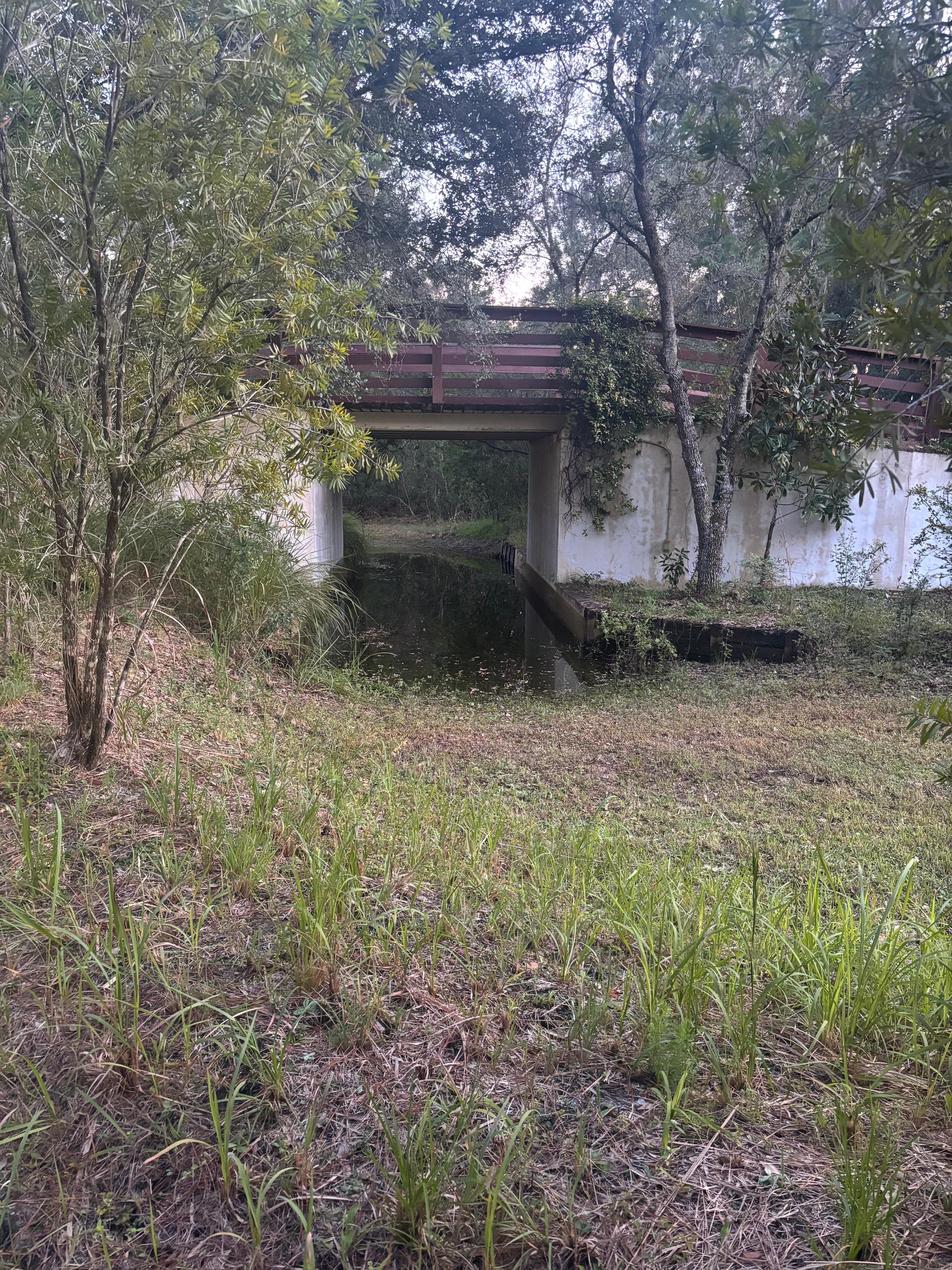 On the golf cart maze route! So fun