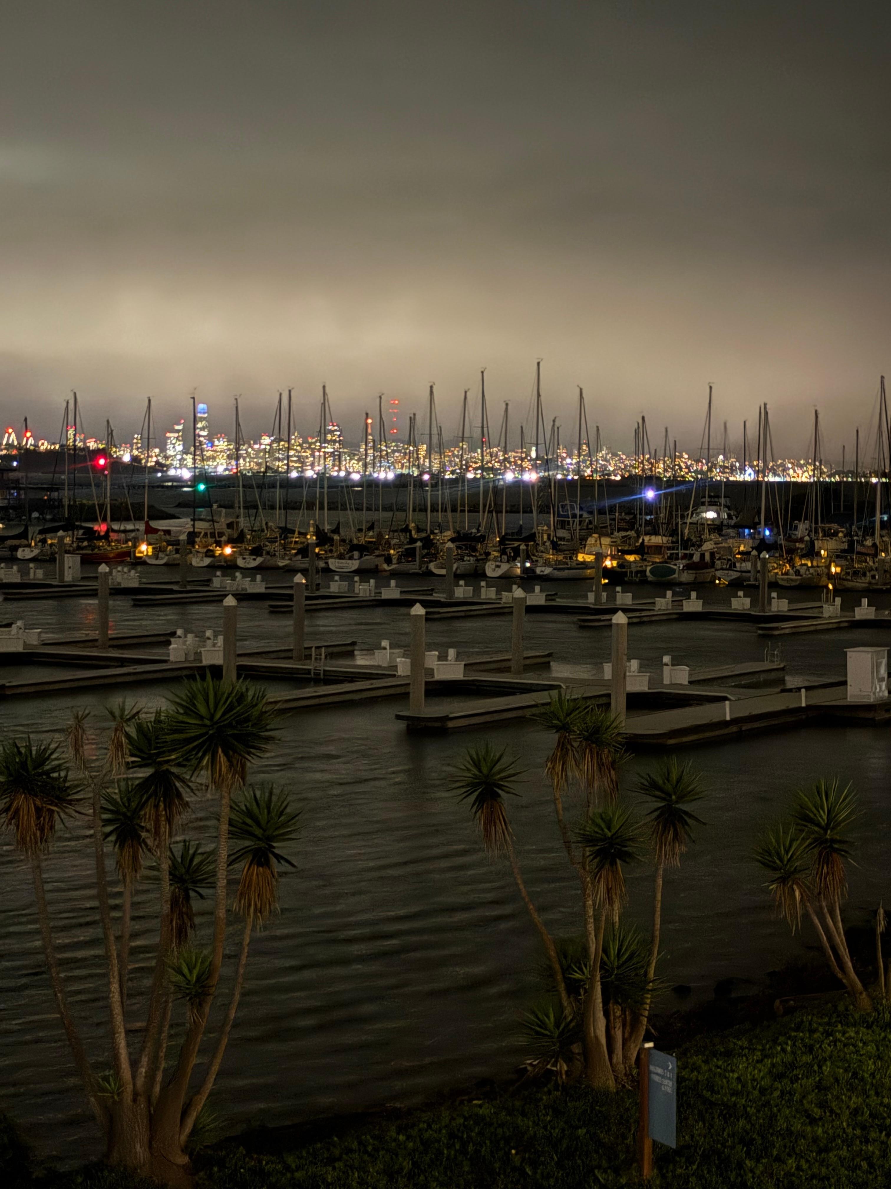 Night time view of the Marina from the balcony