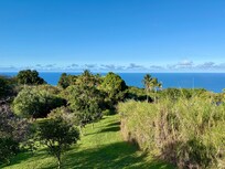 View from the porch.