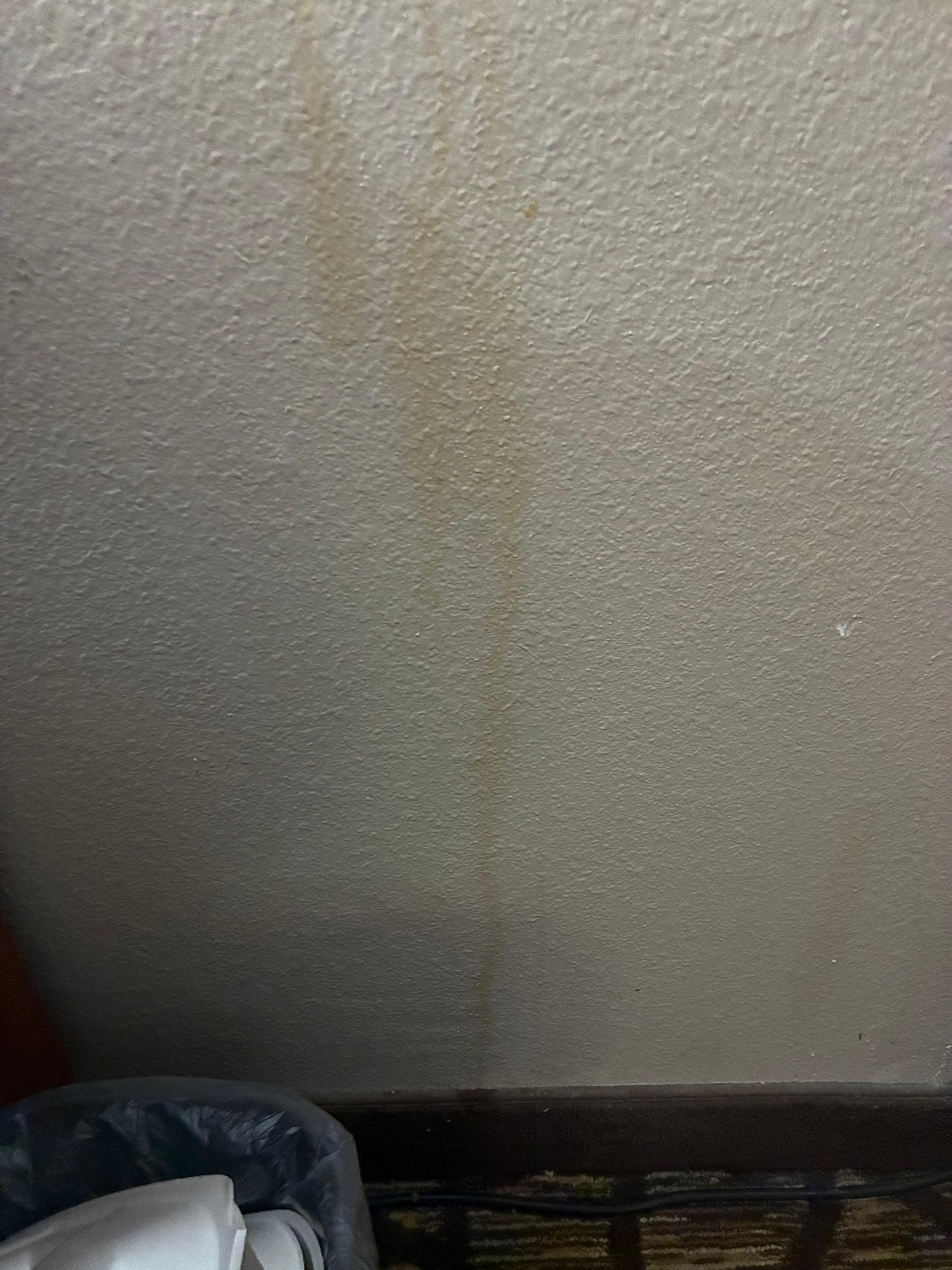 Yellow stains on walls 