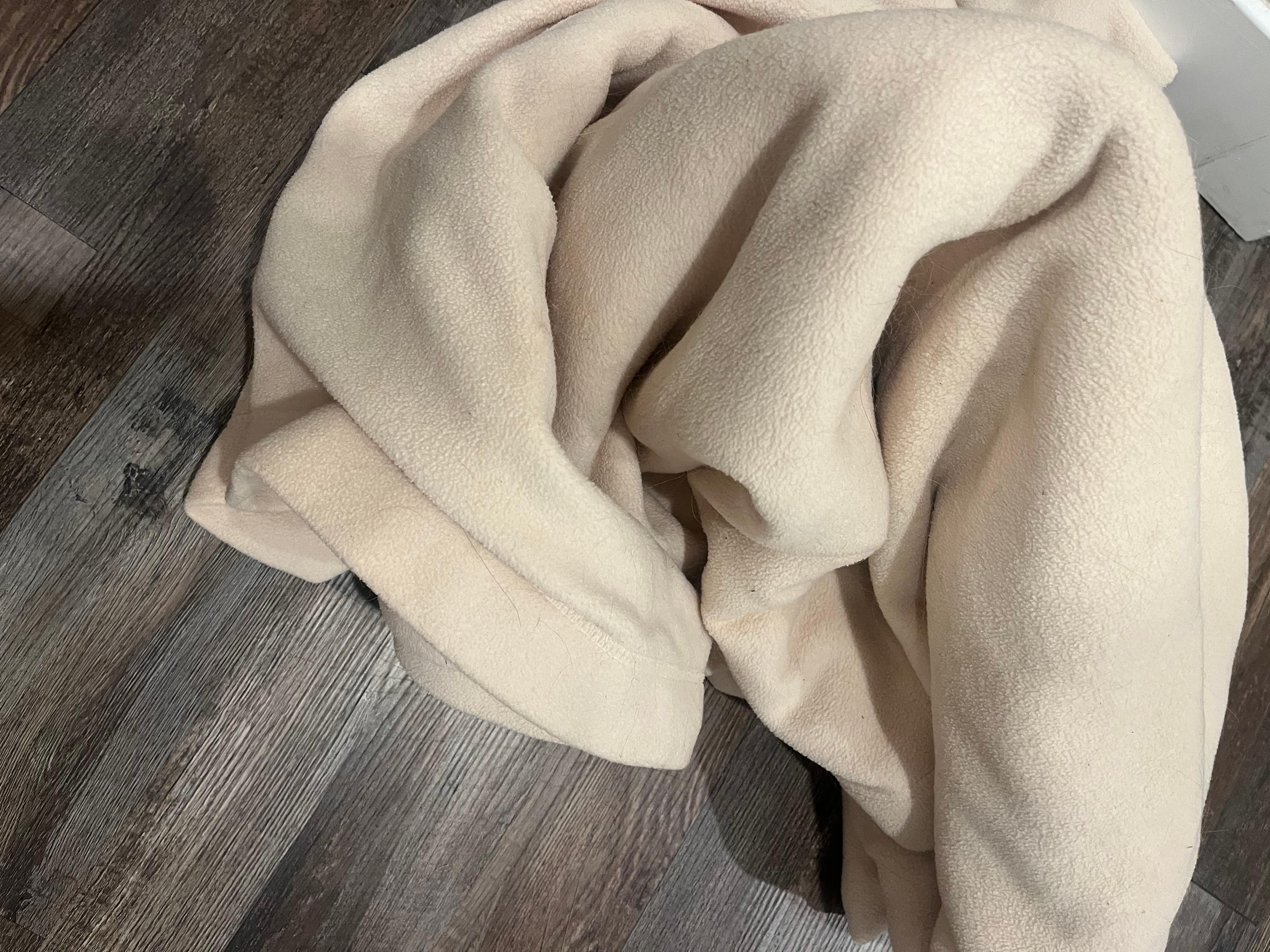 Hard to see, but this extra blanket we took out of closet was covered with white dog hair… 